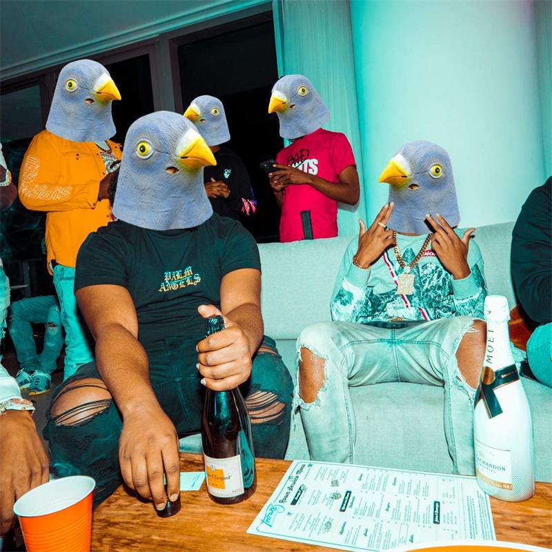 قناع على شكل حمامة، زي مبتكر ل - مراجعة Skincare Pigeon وسعره